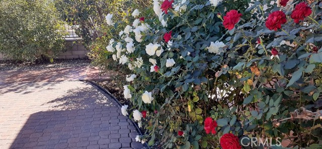 1484 Pepper Tree Drive, Hemet CA: https://media.crmls.org/medias/cbd0c5b0-817a-4491-9604-f094596e0917.jpg