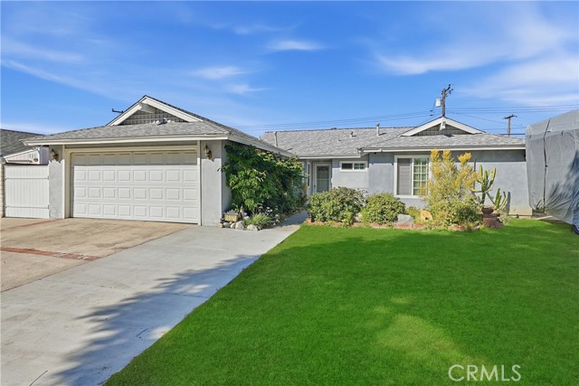 Front Image Thumbnail for CRDW25248483