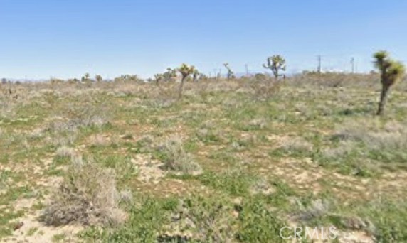 Front Image Thumbnail for CROC26031553