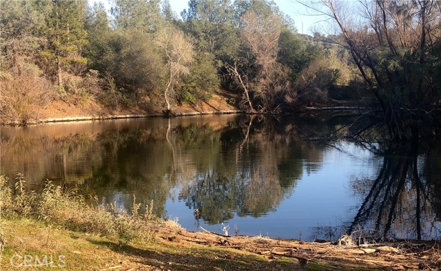 Pond