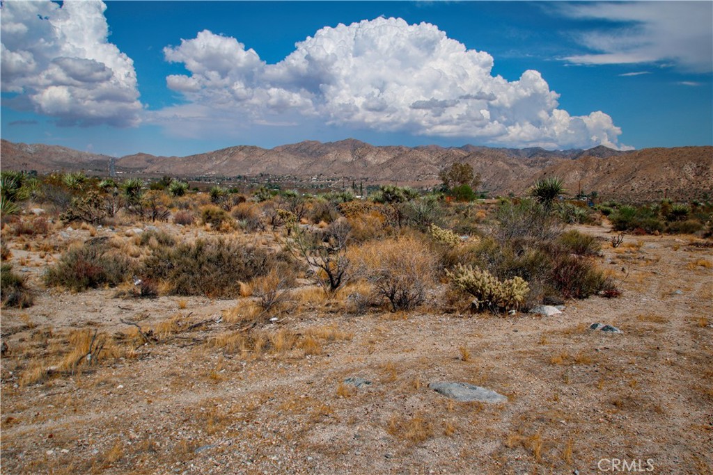 MLS #RS25195860 image #7