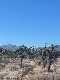 0 Pine Tree Road, Pinon Hills CA: https://media.crmls.org/medias/cbe43ebd-d077-4ae4-bf3f-90aec14afc2a.jpg