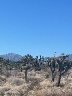 MLS #HD25127927 image #4