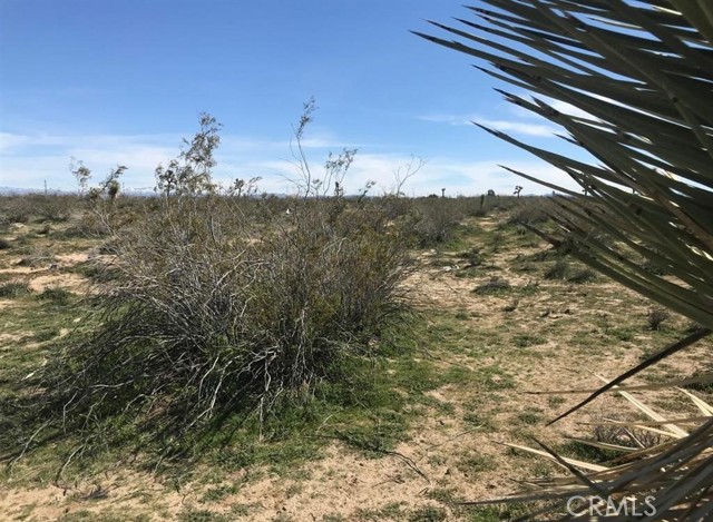 Detail Gallery Image 10 of 15 For 15981 Lilac Ct, Adelanto,  CA 92301 - – Beds | – Baths