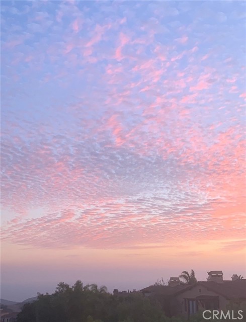 Detail Gallery Image 38 of 43 For 14 Coastal Oak, Newport Coast,  CA 92657 - 4 Beds | 3/1 Baths