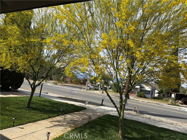 Detail Gallery Image 5 of 18 For 127 W Colton, Redlands,  CA 92374 - 3 Beds | 1/1 Baths