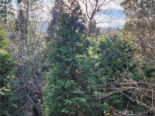 0 Basel Drive, Crestline CA: https://media.crmls.org/medias/cbf38512-bdbd-4c8b-9962-79ee3a59ac02.jpg