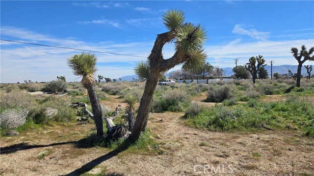 Detail Gallery Image 23 of 35 For 0 Palmdale Blvd & 75th St East, Palmdale,  CA 93553 - – Beds | – Baths