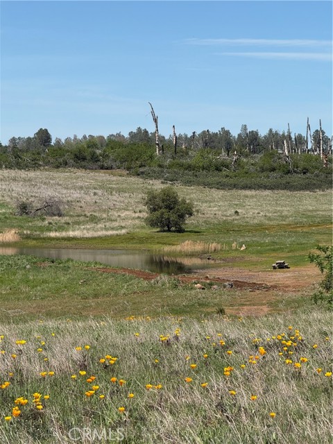 Detail Gallery Image 30 of 33 For 0 Round Valley Ranch, Paradise,  CA 95969 - – Beds | – Baths