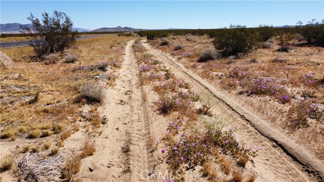 Detail Gallery Image 11 of 11 For 0 Ca-247, Johnson Valley,  CA 92285 - – Beds | – Baths