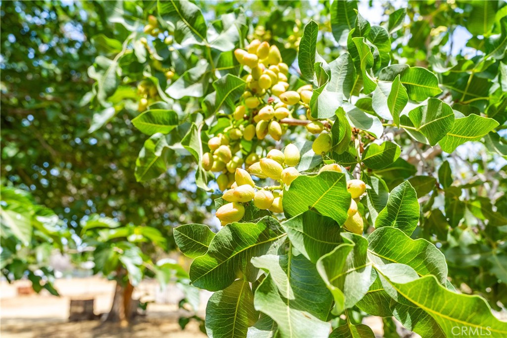 https://media.crmls.org/medias/cc147539-5461-477e-a048-f1aa1971c760.jpg?preset=X-Large
