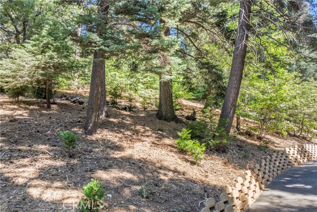 Detail Gallery Image 59 of 69 For 899 Blue Ridge, Lake Arrowhead,  CA 92385 - 3 Beds | 2 Baths