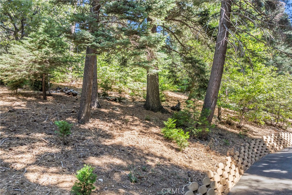 https://media.crmls.org/medias/cc15cabf-991d-4291-8316-ac6647160e9f.jpg?preset=X-Large