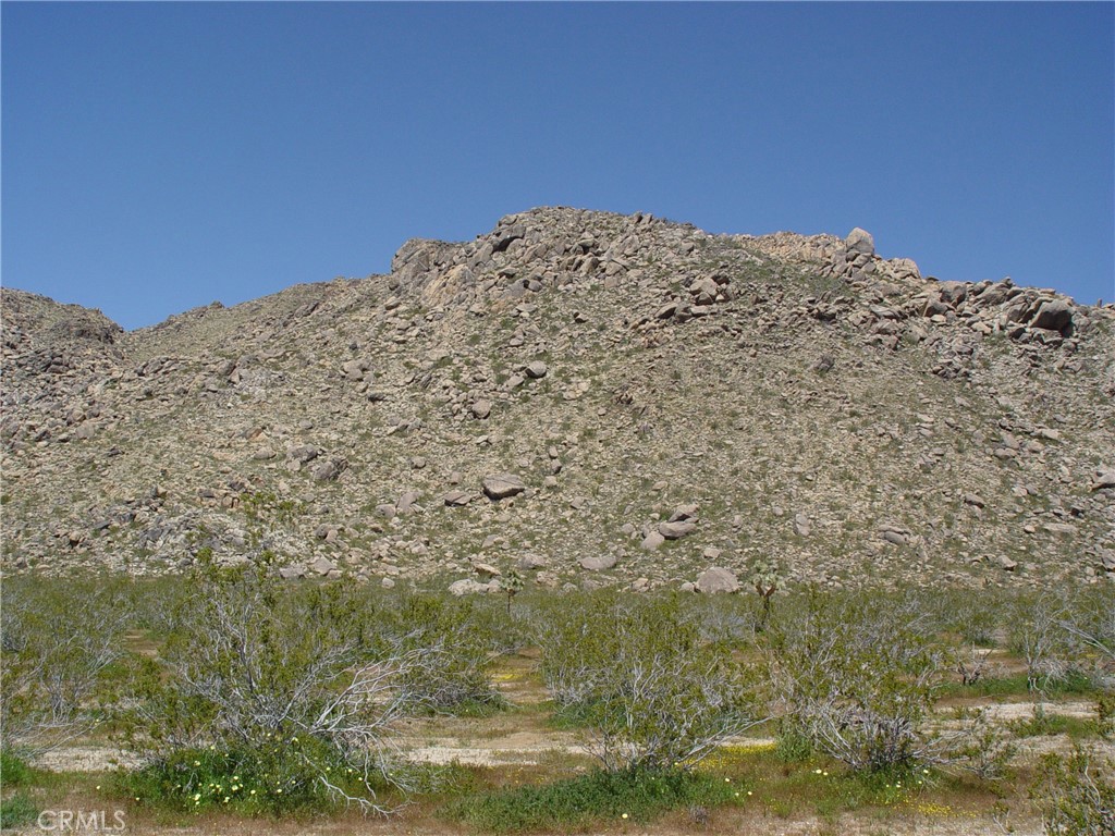 MLS #HD26154562 image #8