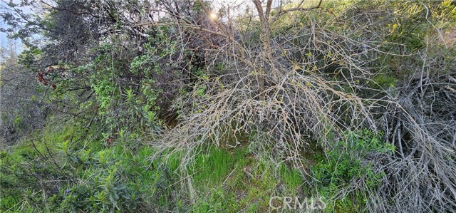 5587 Panorama Road, Lower Lake, CA, 95457 5587 Panorama Road, Lower Lake, CA, 95457