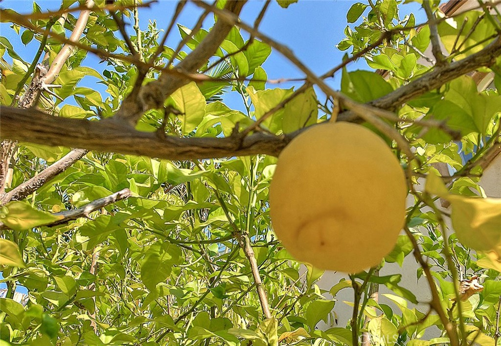 https://media.crmls.org/medias/cc22282d-9568-4a04-852f-c9561dff724b.jpg?preset=X-Large