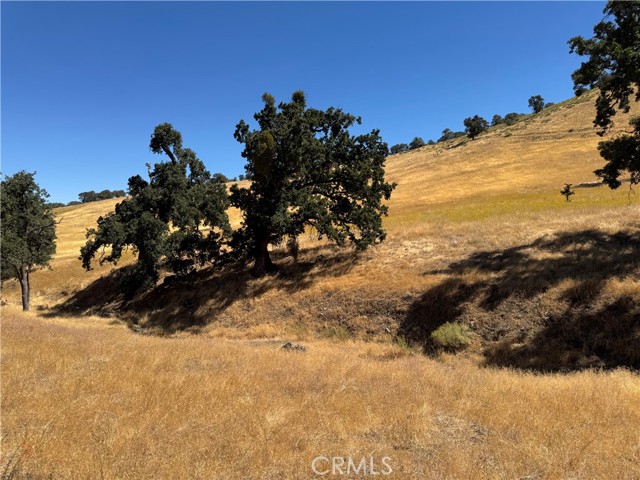 Detail Gallery Image 8 of 17 For 0 Arosa Rd, Tehachapi,  CA 93561 - – Beds | – Baths