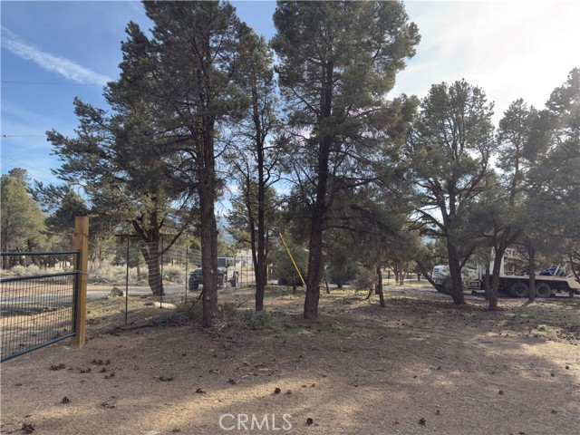 Detail Gallery Image 24 of 31 For 1820 Golden Rod, Big Bear City,  CA 92314 - – Beds | – Baths