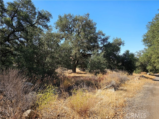 Detail Gallery Image 7 of 10 For 0 Highway 76, Pauma Valley,  CA 92061 - – Beds | – Baths