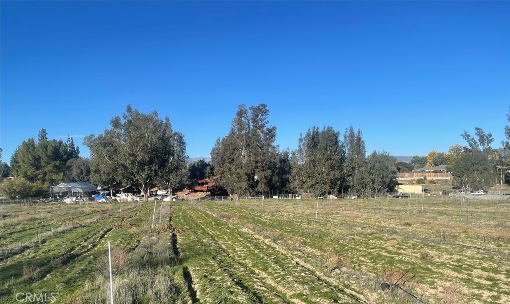 MLS #WS25276306 image #9