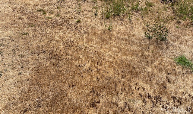 Front Image Thumbnail for CRPW25276206