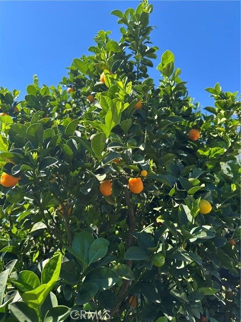 Detail Gallery Image 12 of 15 For 6415 Lederer, West Hills,  CA 91307 - 4 Beds | 2 Baths