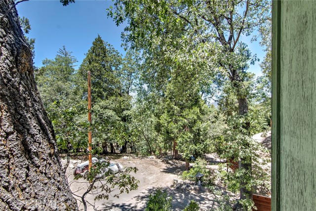 Detail Gallery Image 29 of 55 For 52770 Mcgovern Rd, Idyllwild,  CA 92549 - 3 Beds | 1/1 Baths