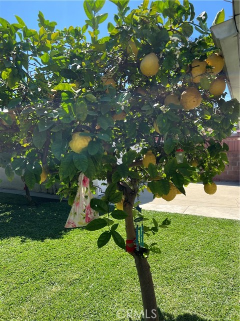 Detail Gallery Image 53 of 62 For 11508 Old River School Rd, Downey,  CA 90241 - 3 Beds | 2 Baths