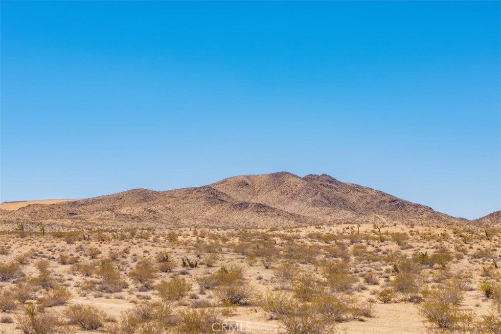 MLS #JT25173166 image #18