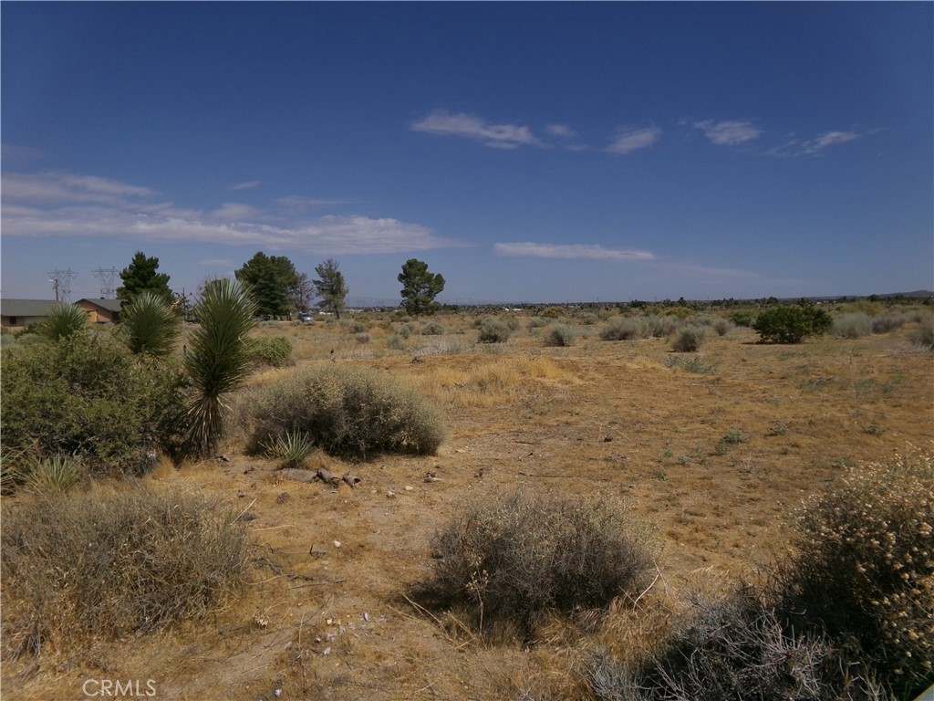 MLS #HD26159978 image #8