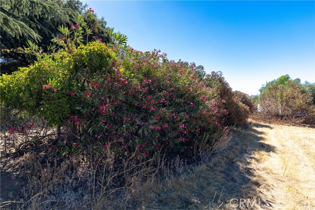 9232 Bonita Drive, Cherry Valley CA: https://media.crmls.org/medias/cc43cf74-3c99-42d5-87cf-e4addbca4b36.jpg