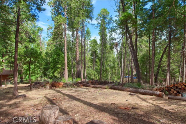 Image 3 for 7061 Snyder Ridge Rd, Mariposa, CA 95338