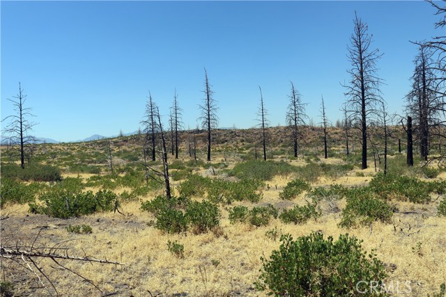 Detail Gallery Image 10 of 15 For 0 Juniper Valley Dr, Weed,  CA 96094 - – Beds | – Baths