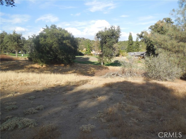 Detail Gallery Image 10 of 10 For 1 Acre Griffin Dr, Oakhurst,  CA 93644 - – Beds | – Baths