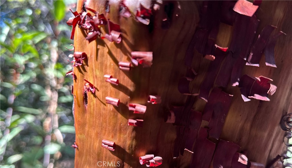 https://media.crmls.org/medias/cc5dbd6d-26e4-4cc3-b8c5-0d82770e6187.jpg?preset=X-Large