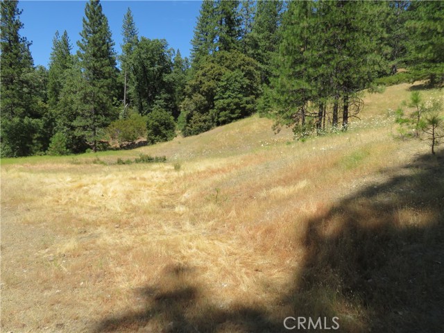 0 Barns Ranch Road, Covelo, California 95428, ,Land,For Sale,0 Barns Ranch Road,CRSN23031018