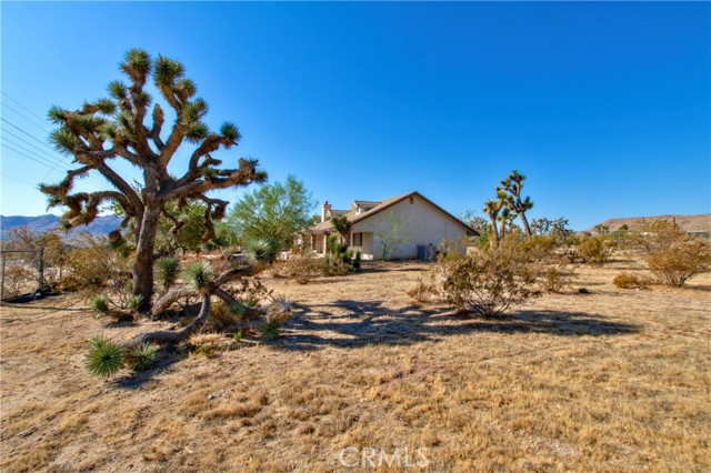 Detail Gallery Image 6 of 29 For 5320 Yucca Mesa Rd, Yucca Valley,  CA 92284 - 3 Beds | 2 Baths