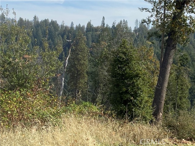 Detail Gallery Image 6 of 11 For 13690 Andover, Magalia,  CA 95954 - – Beds | – Baths