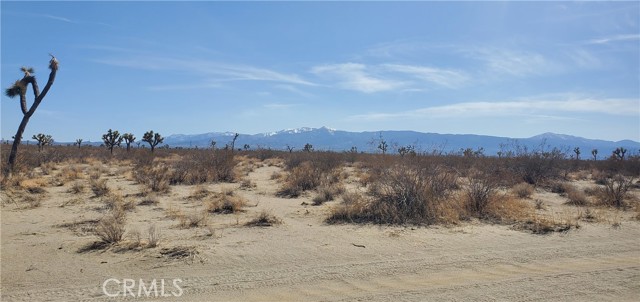 20 Holly Road, Phelan, CA, 92371 20 Holly Road, Phelan, CA, 92371