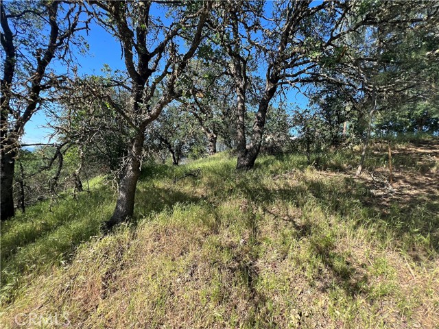 5597 Valley Vista, Kelseyville, CA, 95451 5597 Valley Vista, Kelseyville, CA, 95451