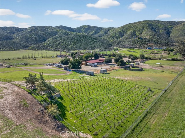 Image 70 of 75 For 31420 Palm Avenue