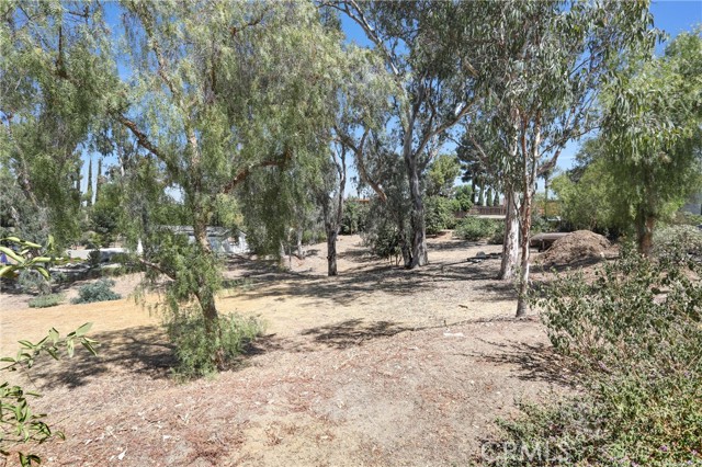 10345 McBroom Street, Sunland CA: https://media.crmls.org/medias/cc66ccad-2973-4a47-8802-ead9efe28697.jpg
