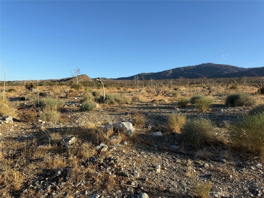 MLS #HD25232723 image #14