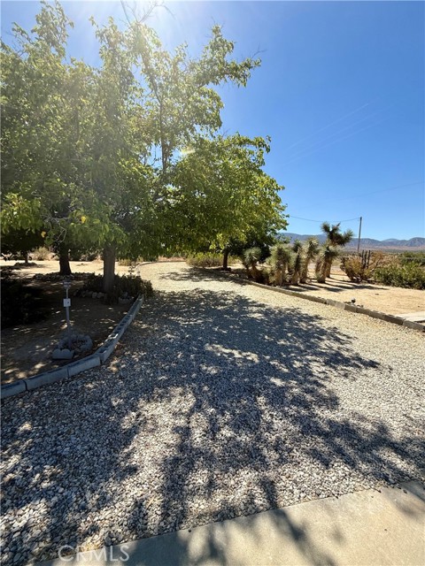 Detail Gallery Image 29 of 53 For 11411 Oasis Rd, Pinon Hills,  CA 92372 - 2 Beds | 2 Baths