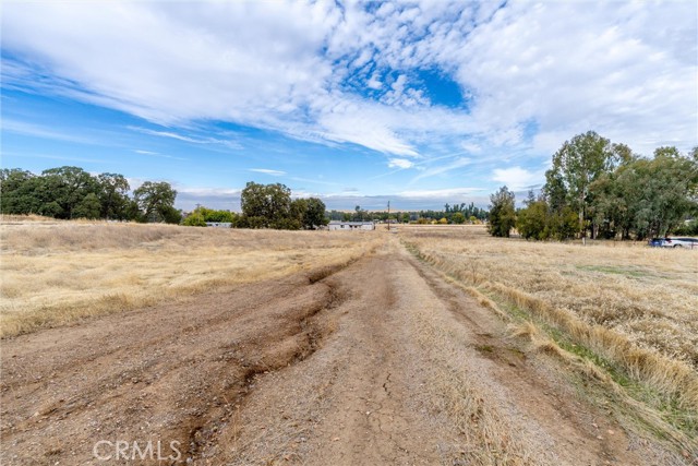 Detail Gallery Image 9 of 16 For 17315 Rancho Tehama Road, Corning,  CA 96021 - – Beds | – Baths