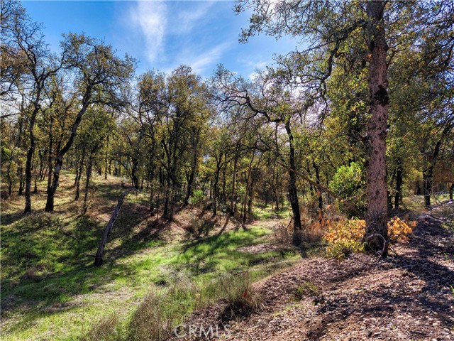 Detail Gallery Image 37 of 37 For 16055 29th, Clearlake,  CA 95422 - 3 Beds | 2/1 Baths