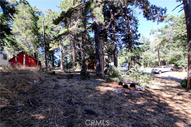 Detail Gallery Image 21 of 24 For 1109 Scenic Way, Rimforest,  CA 92378 - 2 Beds | 1 Baths