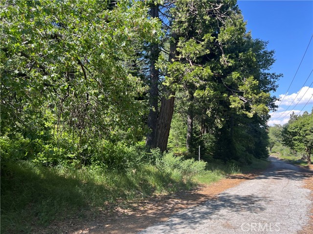 28879 Sycamore Drive, Lake Arrowhead CA: https://media.crmls.org/medias/cc762dc3-fb4d-4ade-82a7-1da0f6818678.jpg