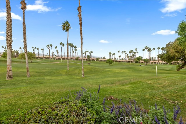 Detail Gallery Image 10 of 32 For 38727 Lobelia Cir, Palm Desert,  CA 92211 - 3 Beds | 3 Baths