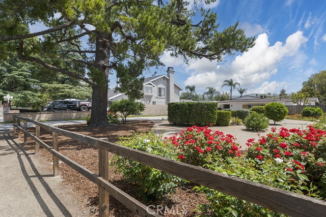 4524 Adam Road photo 5